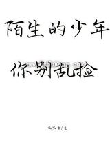 陌生的少年你别乱捡小说