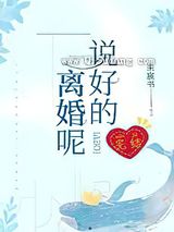 说好的离婚呢小说