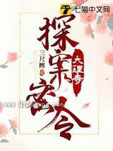 大理寺探案密令小说