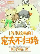 流氓校霸的宠夫不归路小说