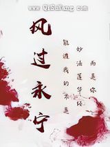 风过永宁小说