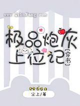 极品炮灰上位记小说