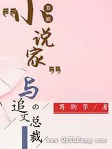 官能小说家与追文总裁小说