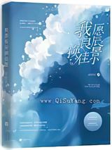 我愿良辰换佳景小说