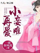 小妾难再爱小说