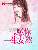 愿你一生安然小说