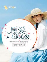 愿爱不负心安小说