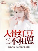入骨红豆不相思小说