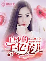 BOSS缠上身：白少的千亿宠儿小说