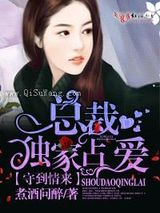 守到情来，总裁独家占爱小说