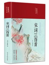 宋词三百首小说