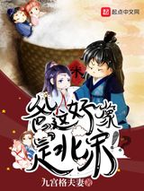 爸，这好像是北宋小说