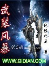 武装风暴小说