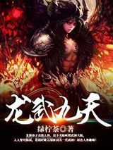 龙武九天小说