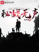 秘战无声小说