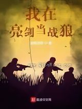 我在亮剑当战狼小说
