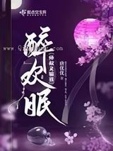 醉欢眠小说