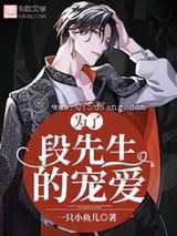 为了段先生的宠爱小说