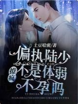 撩疯偏执陆少不是体弱不孕吗小说