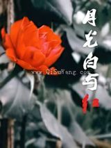 月光白与红小说