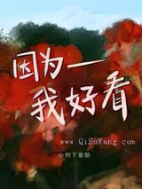 因为我好看小说