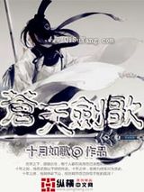 苍天剑歌小说