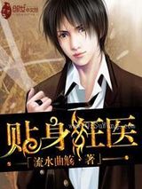 贴身狂医小说