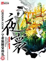 夜寰小说