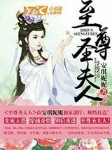 至尊圣夫人小说