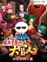 红楼大官人小说