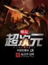 超次元崛起小说