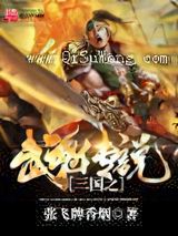 三国之武魂传说小说