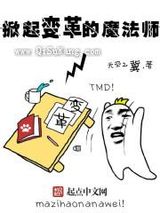掀起变革的魔法师小说