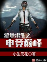 绝地求生之电竞巅峰小说