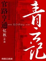 青云记小说
