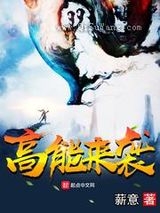 高能来袭小说