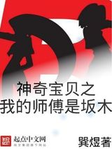 神奇宝贝之我的师傅是坂木小说