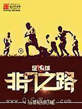 足球：非凡之路小说