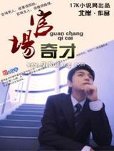 官场奇才小说