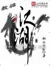 数据江湖小说