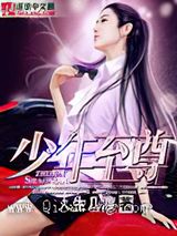 少年至尊小说