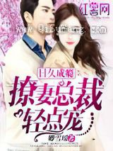 日久成瘾：撩妻总裁轻点宠小说
