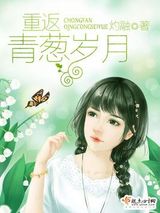 重返青葱岁月小说