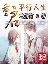 重启平行人生小说