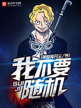 我不要随机小说