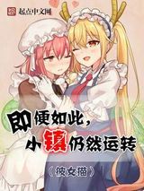 即便如此小镇仍然运转小说