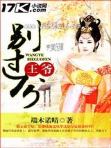 王爷，别过分小说