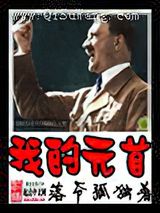 我的元首小说