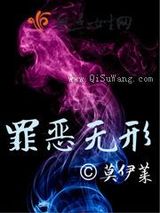 罪恶无形小说