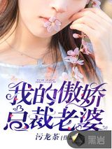 我的傲娇总裁老婆小说